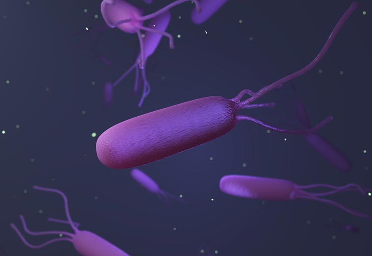 ピロリ菌のイメージ画像